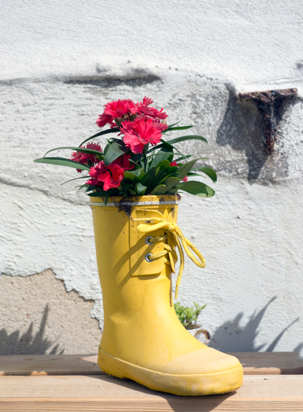 wellington-boot-planter